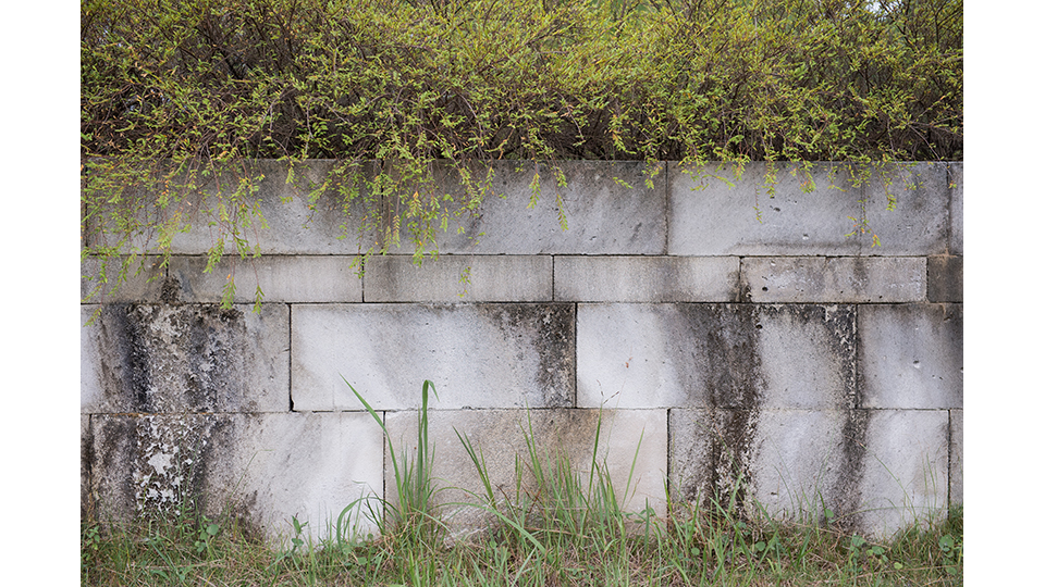 輕質磚可作為花圃磚。